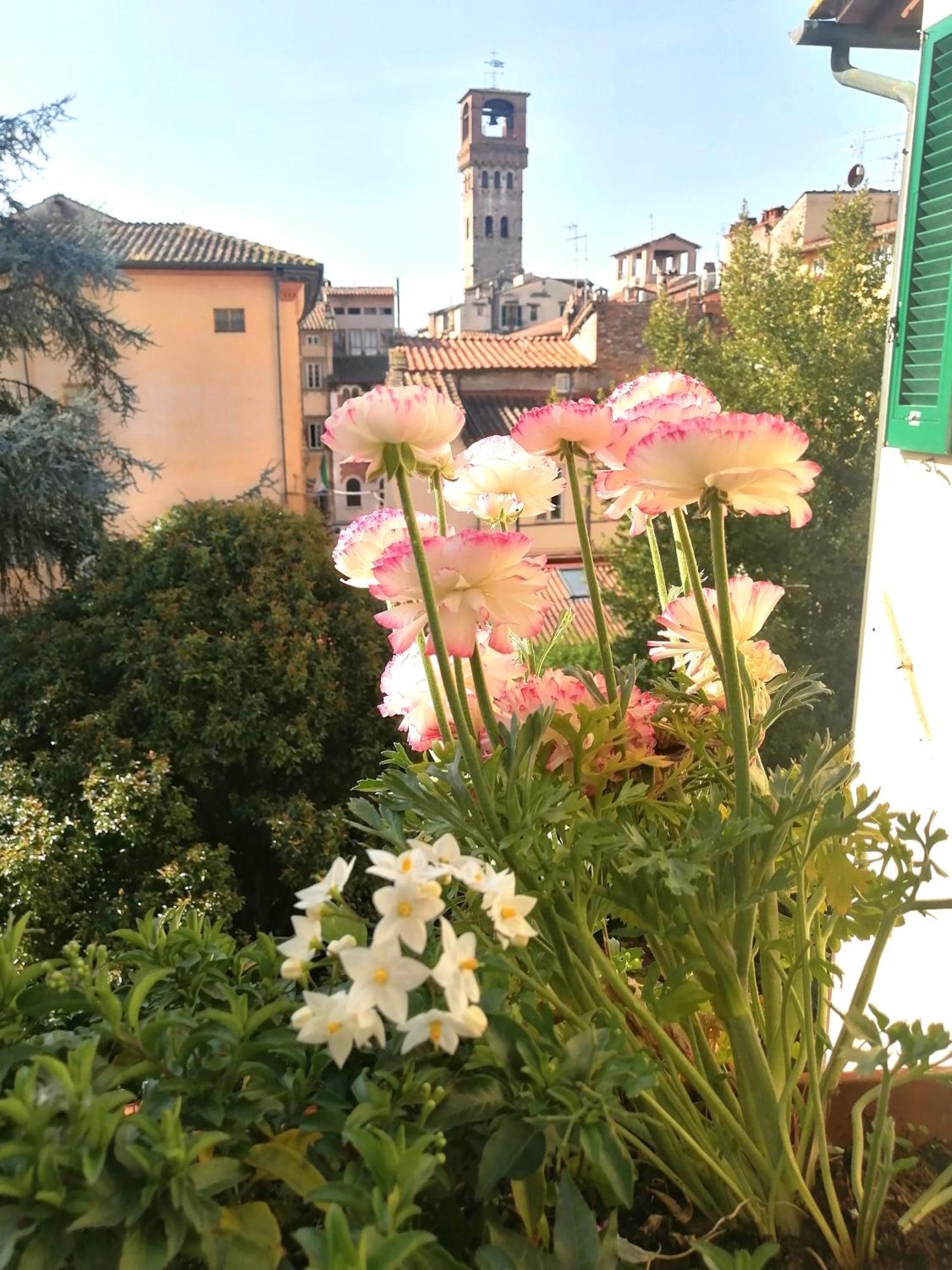 Bed And Breakfast Evelina Lucca Luaran gambar